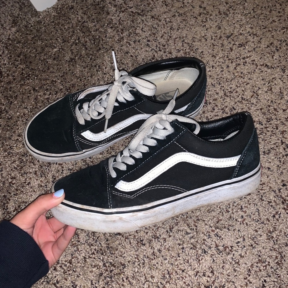 Vans Skate Lows